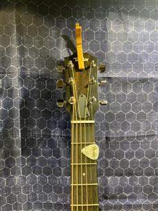 Taylor Guitars / 210ce